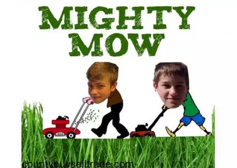 Mighty mow lawn  Service